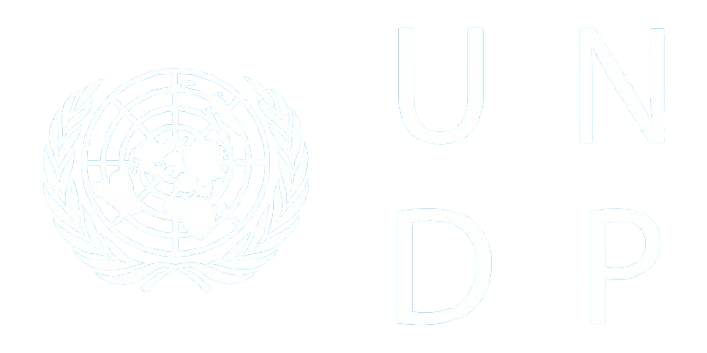 UNDP Logo